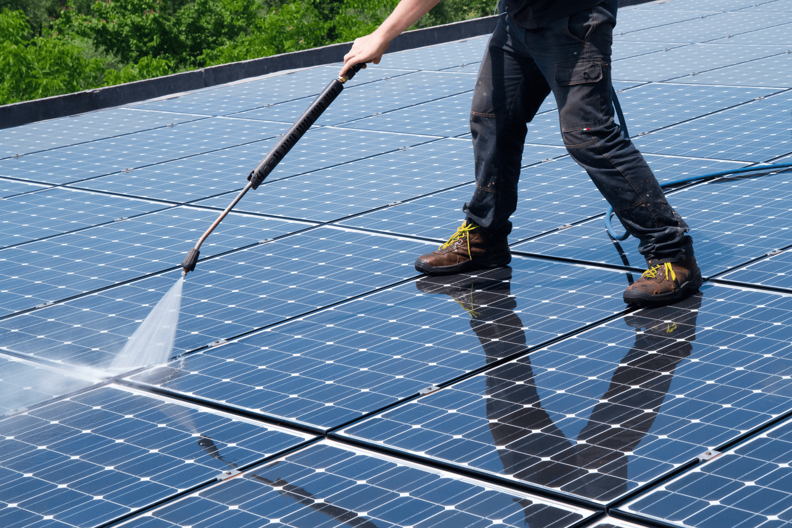 pigeon control on solar panels Cleaner